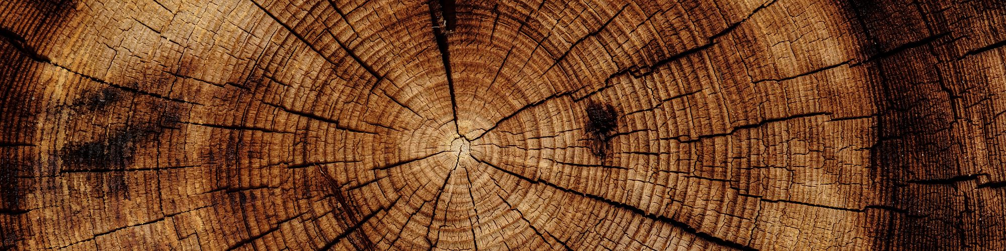 Most Popular Wood Species for Flooring