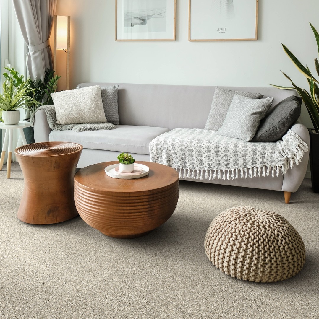 how to choose Carpet